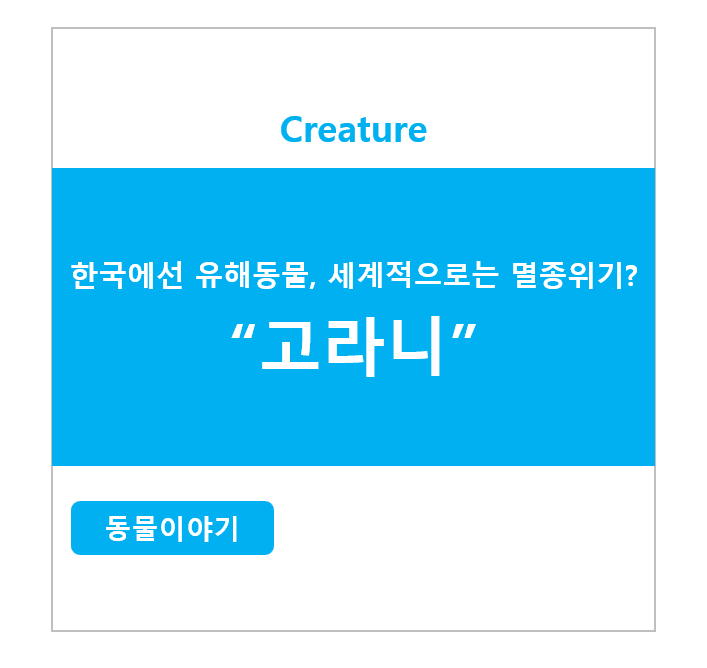 한국에선 유해동물이지만 세계적으로는 멸종위기? 고라니