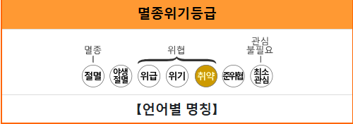 한국에선 유해동물이지만 세계적으로는 멸종위기? 고라니
