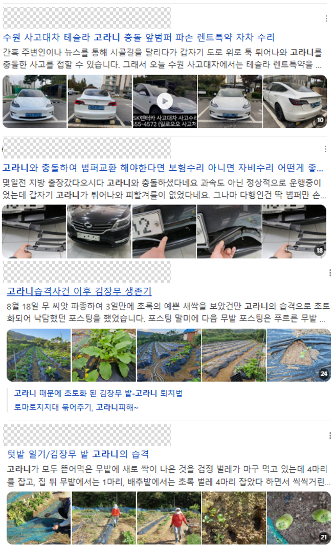 한국에선 유해동물이지만 세계적으로는 멸종위기? 고라니