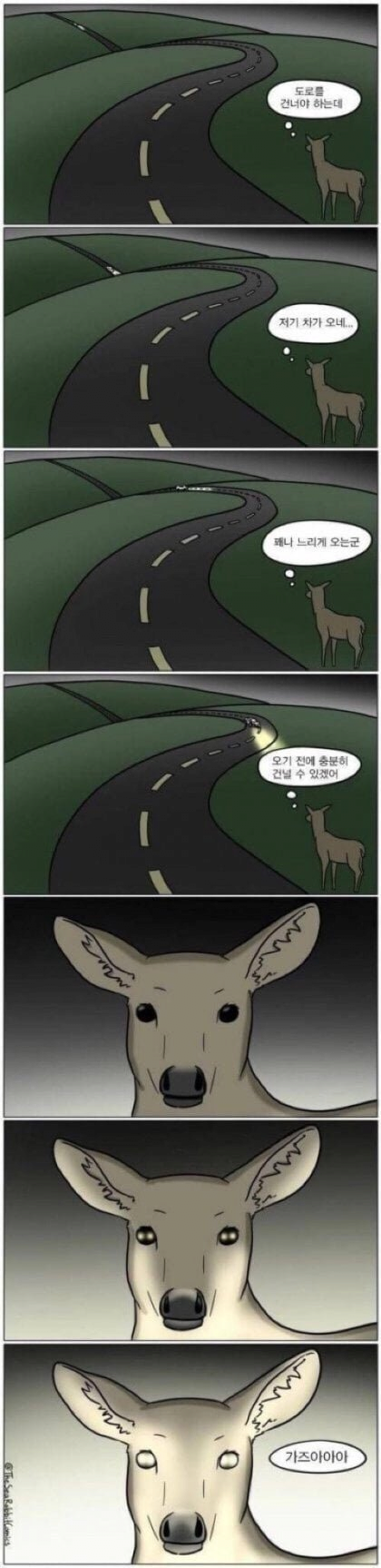 한국에선 유해동물이지만 세계적으로는 멸종위기? 고라니
