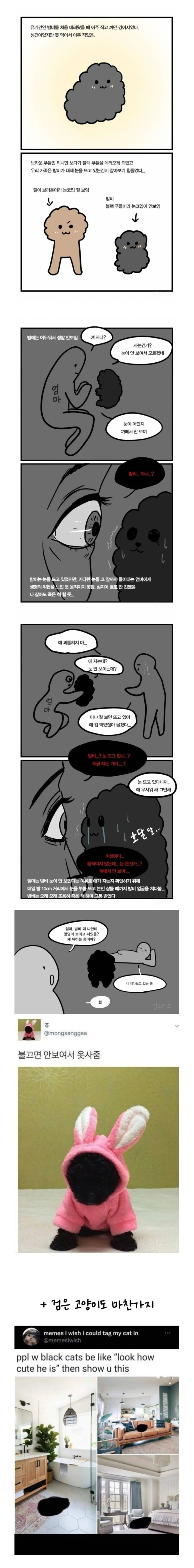까만 강아지 최대단점