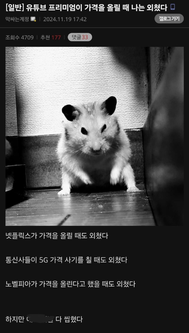 넷플릭스가 가격을 올릴 때 나는 외쳤다. 