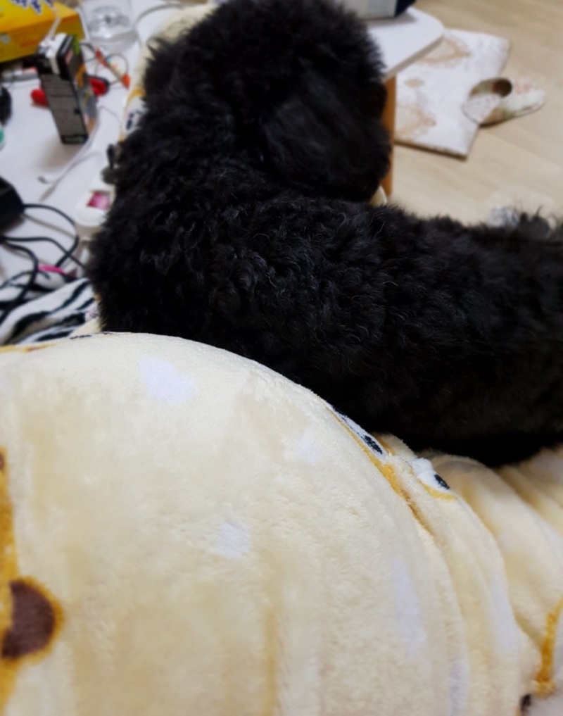 애기랑 🖤 애기랑 