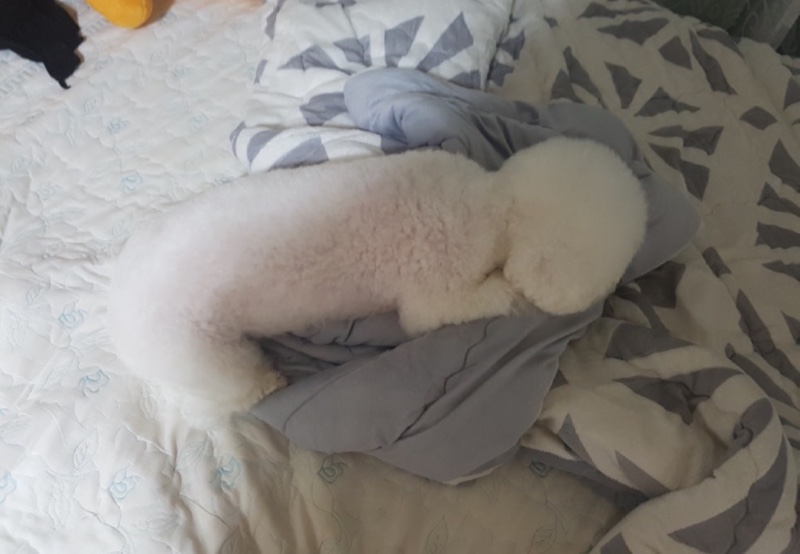 꼭꼭숨어라