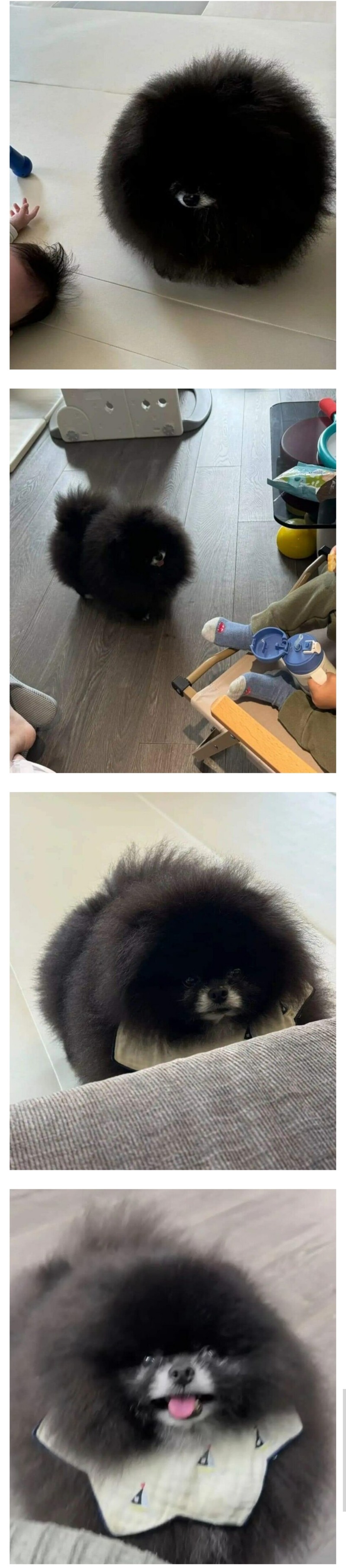 집안을 돌아다니는 외눈박이 생명체 