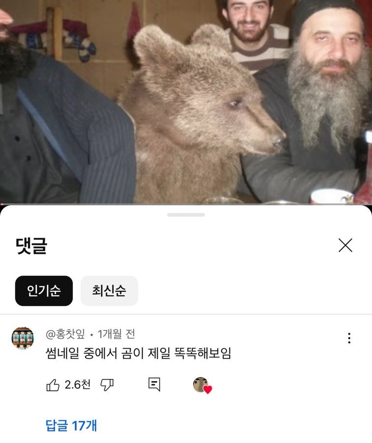 곰이 제일 똑똑해 보임 