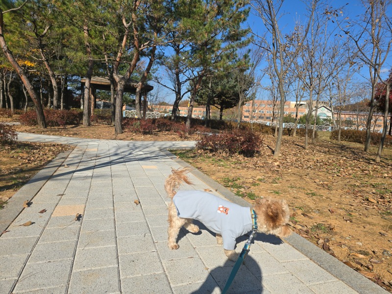 안산 단원구 원고잔공원, 반려견과 함께하는 자연친화공원