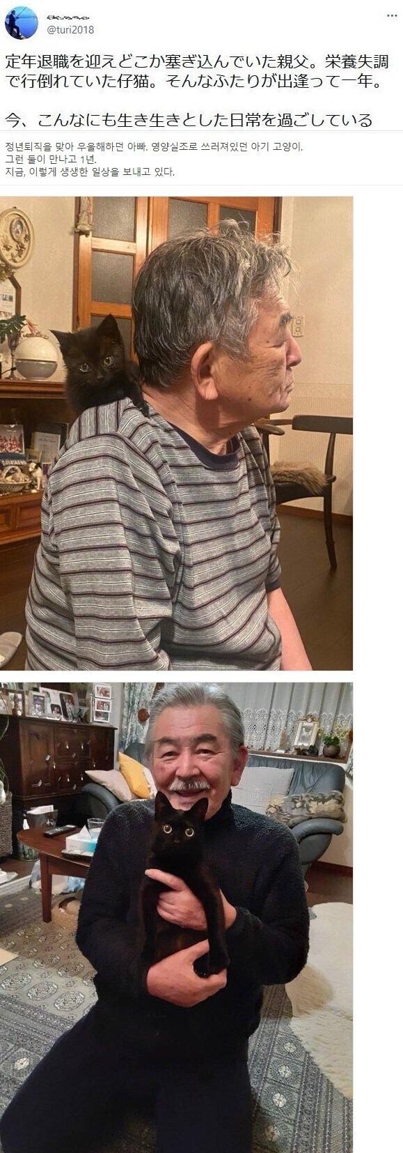 서로가 도움을 준 아빠와 고양이 