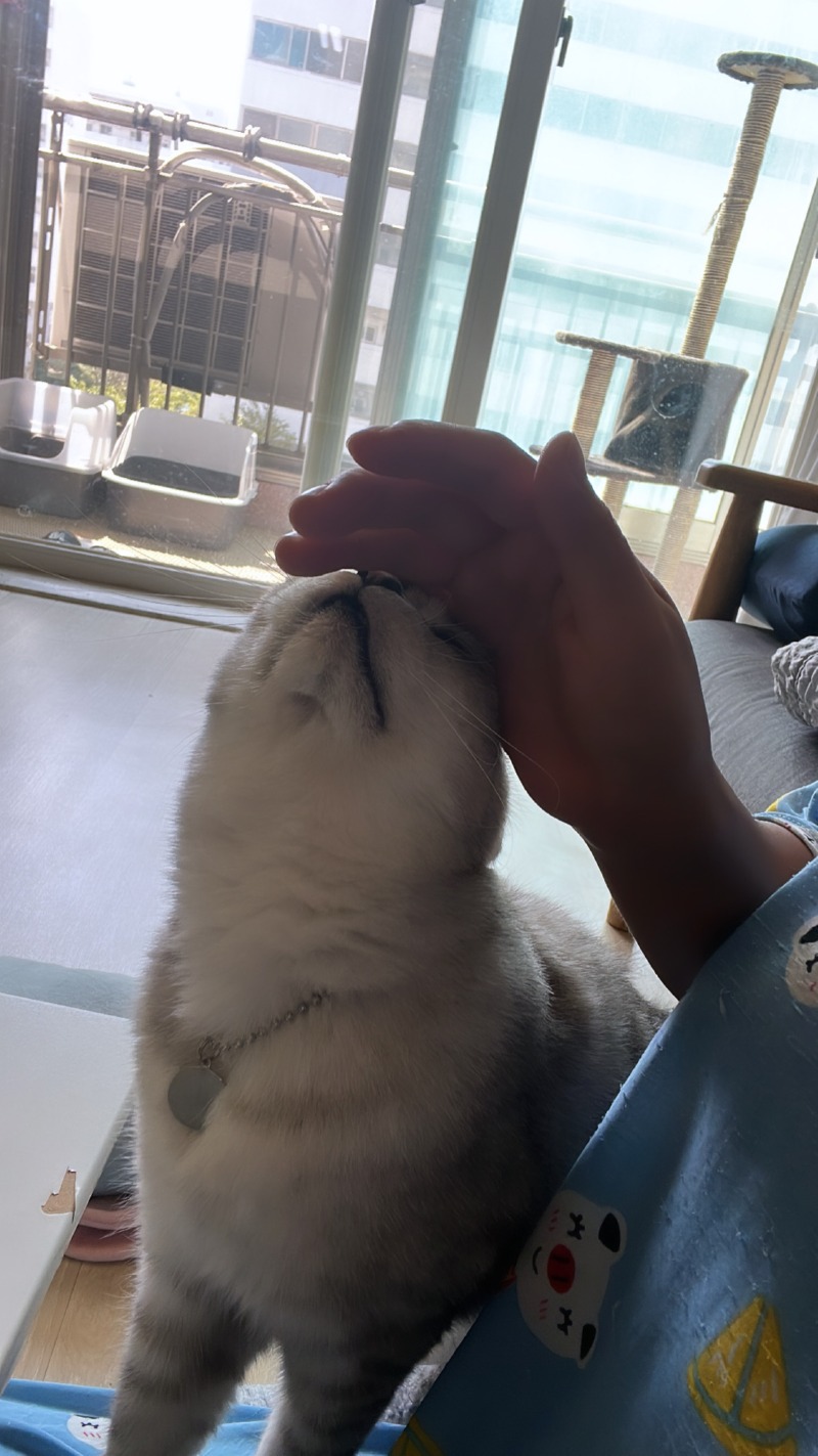 화요팅