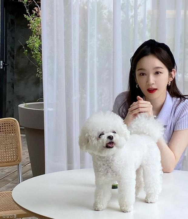 연예인, 인플루언서들이 키우는 반려견 