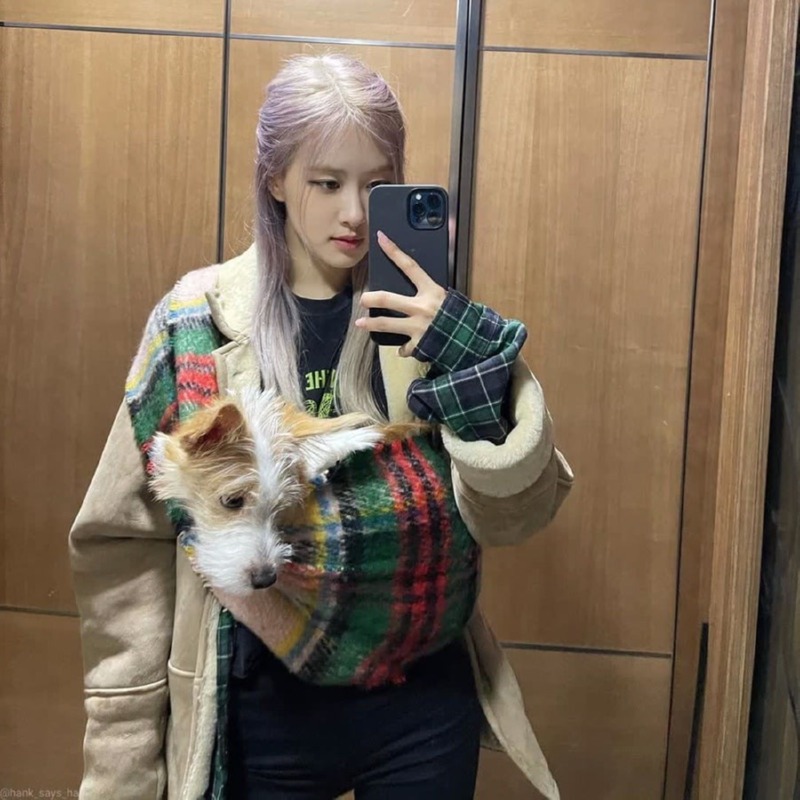 연예인, 인플루언서들이 키우는 반려견 