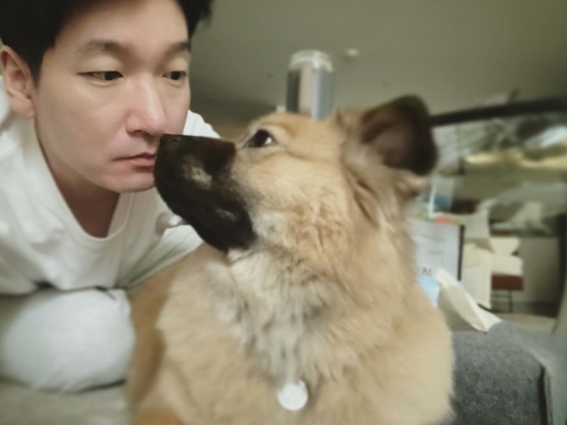 연예인, 인플루언서들이 키우는 반려견 