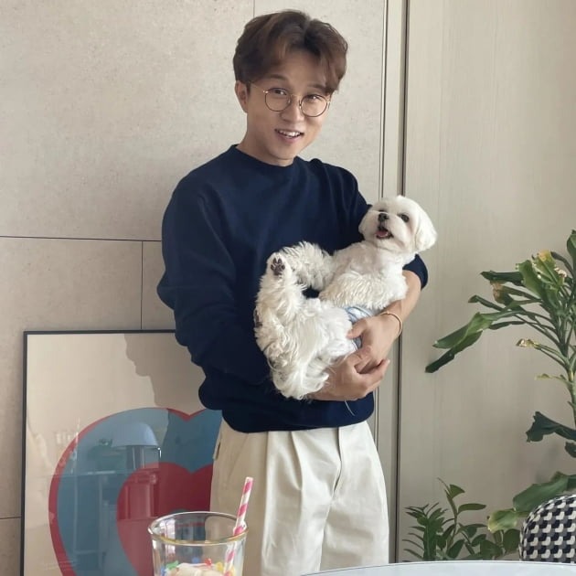 연예인, 인플루언서들이 키우는 반려견 
