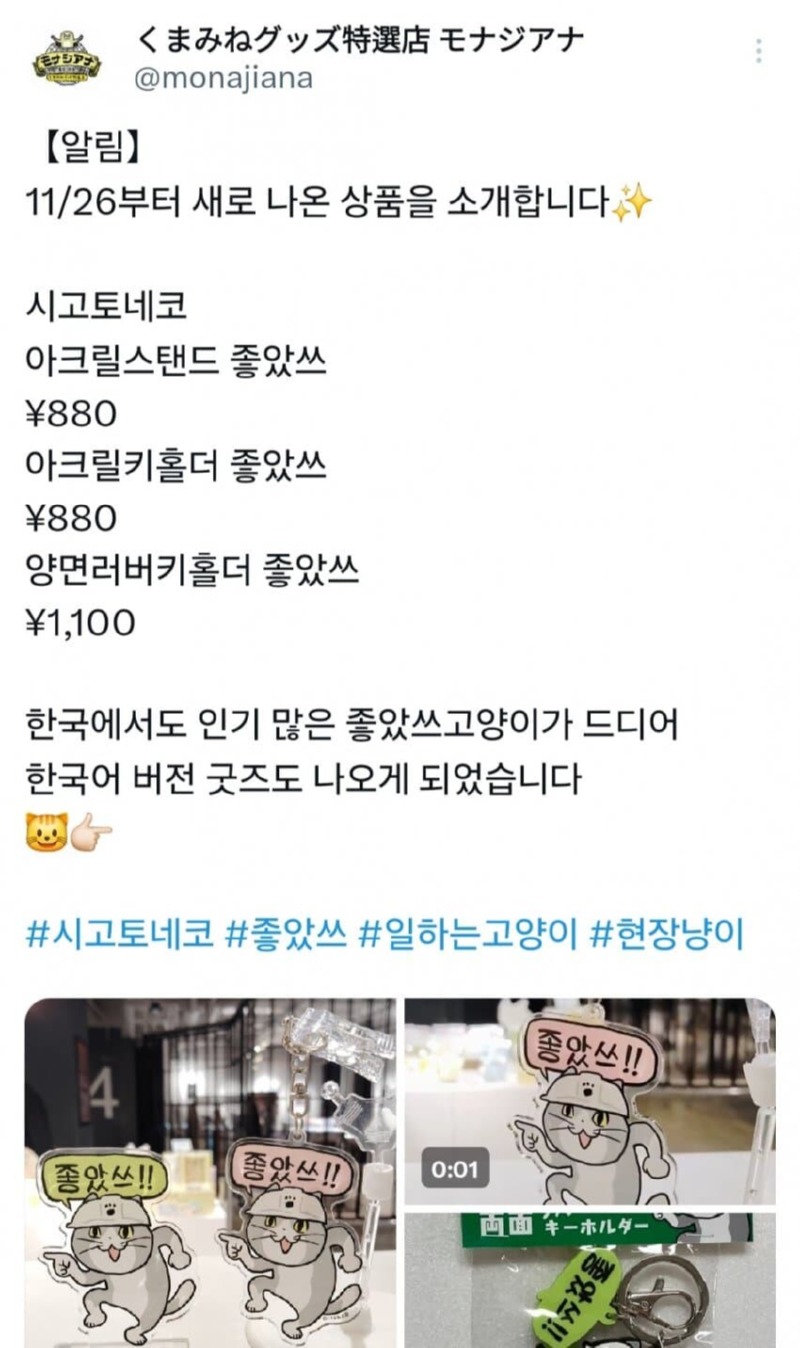 일본 일하는 좋아쓰 고양이 근황 (좋소냥이) 