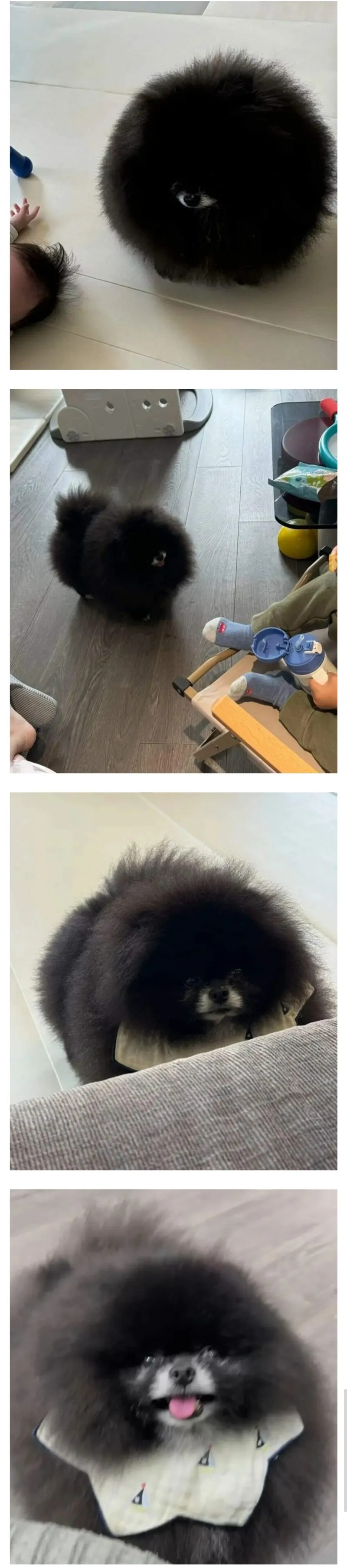 집안을 돌아다니는 외눈박이의 정체