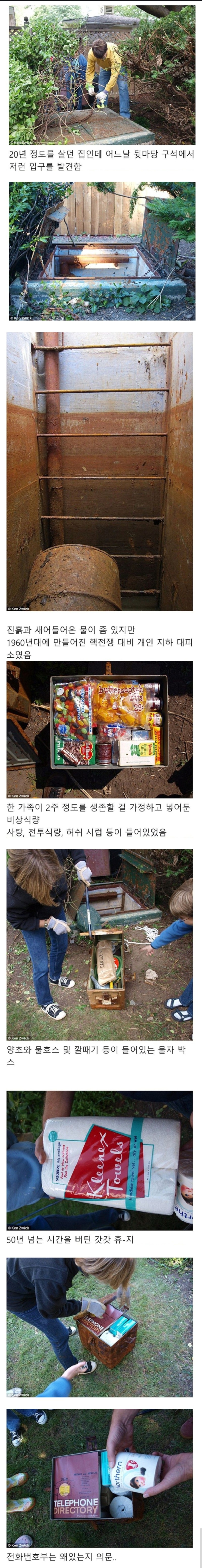 미국의 한 주택 뒷마당에서 발견된 물건들 