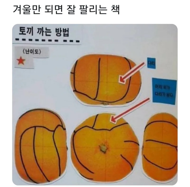 겨울만 되면 잘 팔리는 책