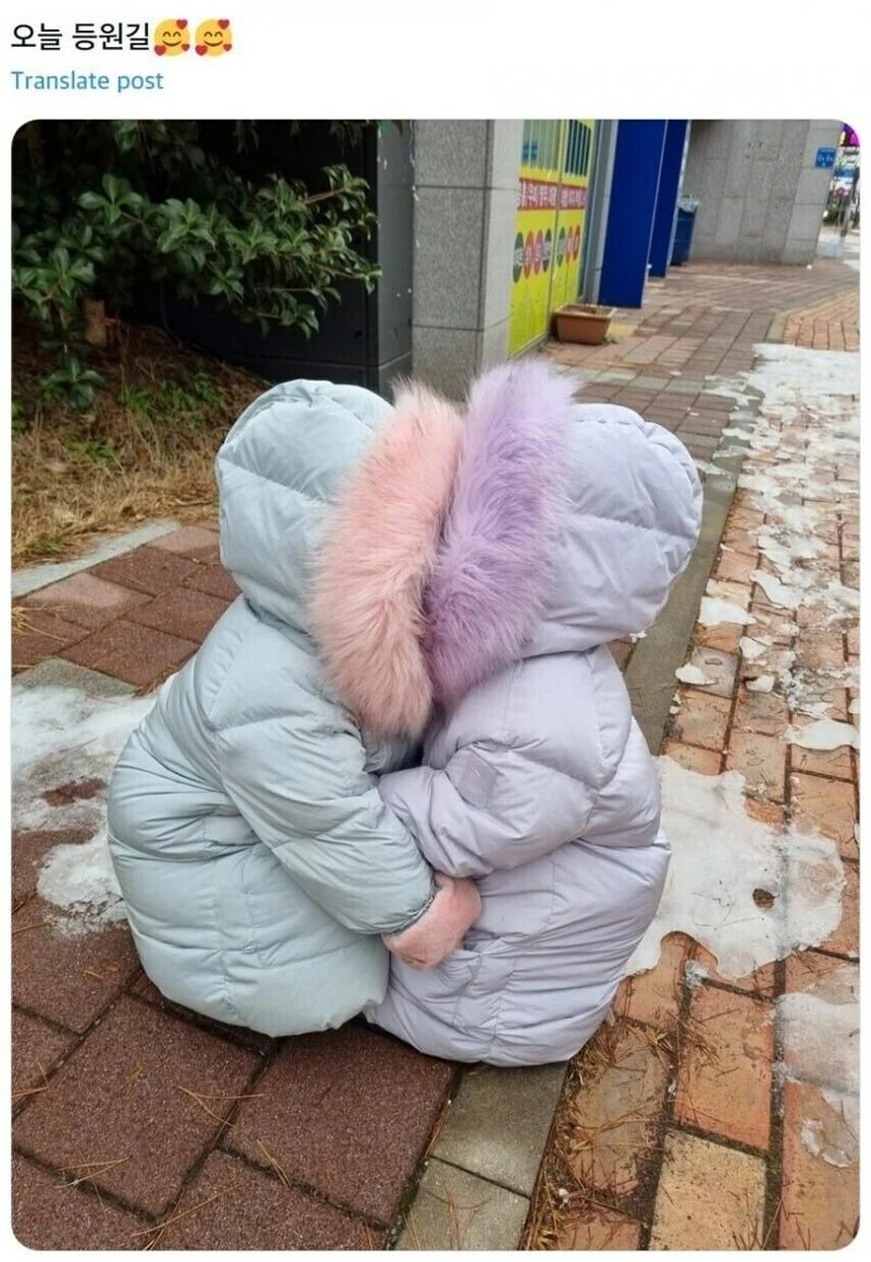 한파에 놀란 아이들의 행동 