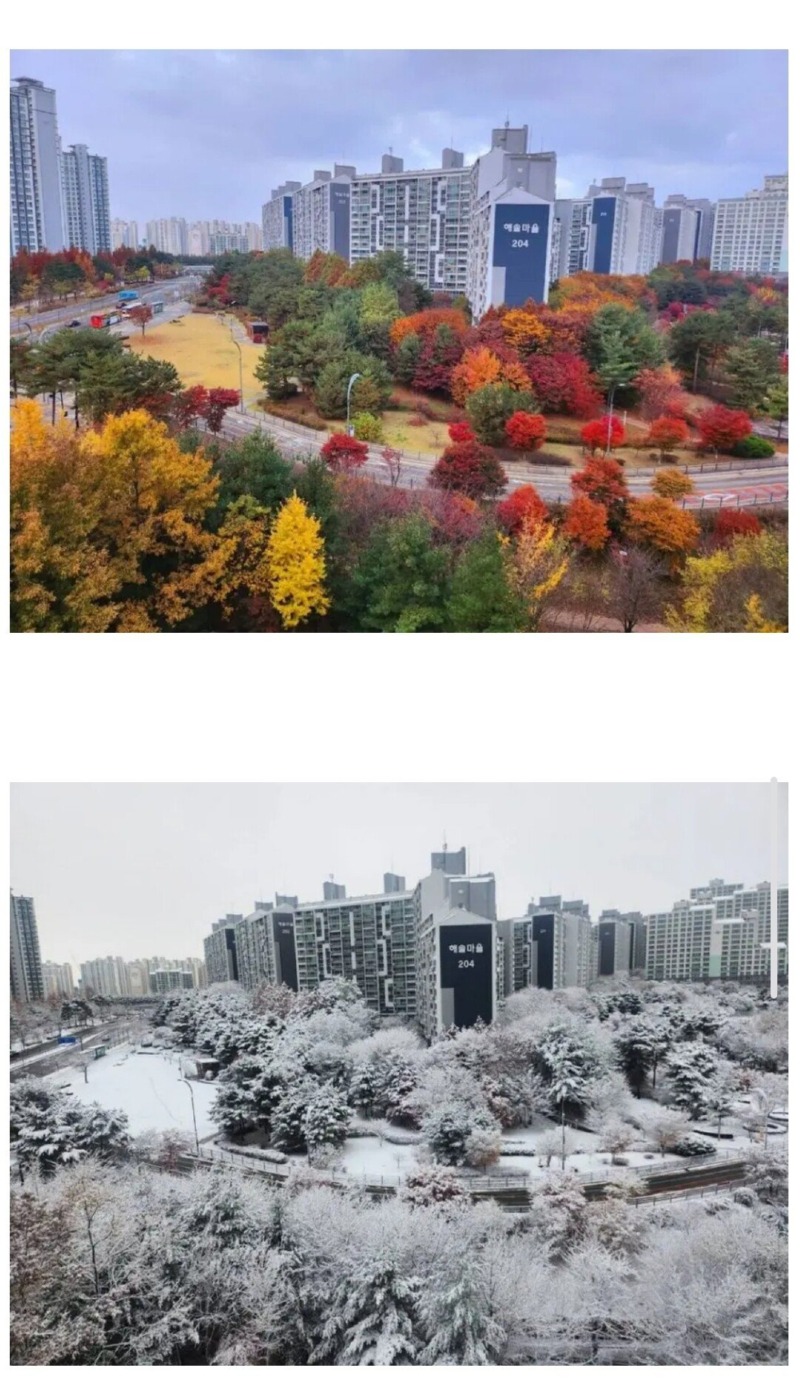 2주만에 크게 바뀐 날씨 근황 