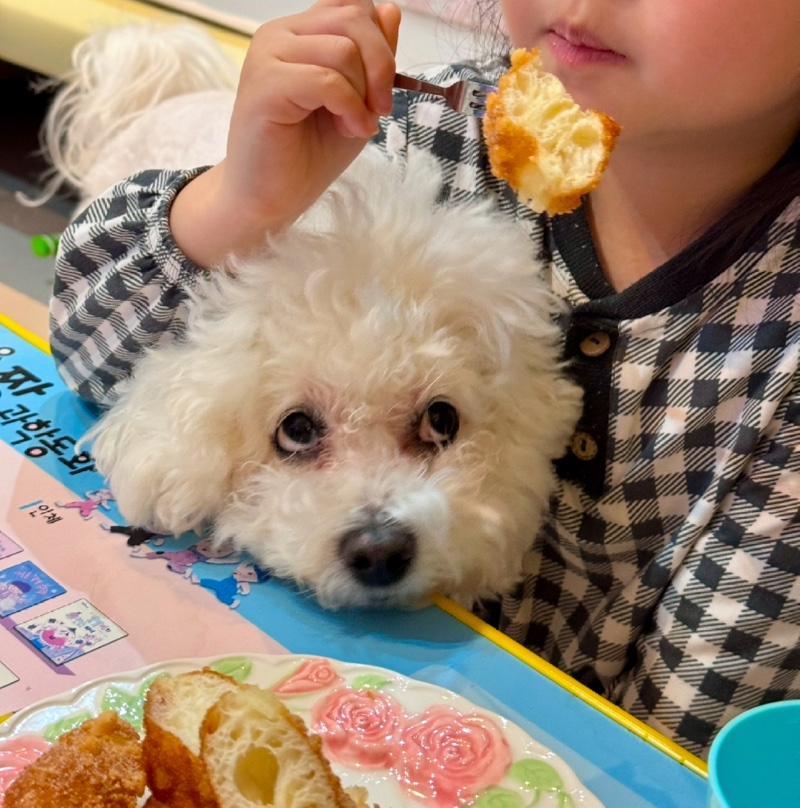 한입만 주개 🐶