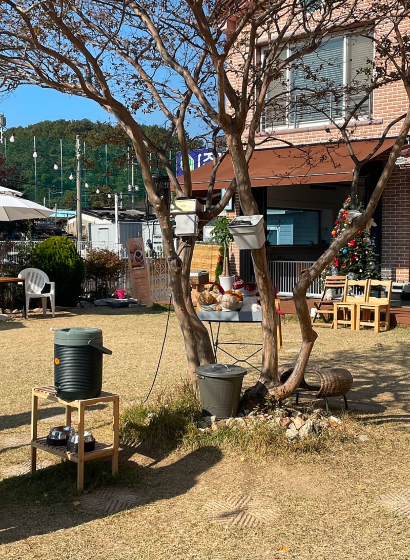 멍카페
