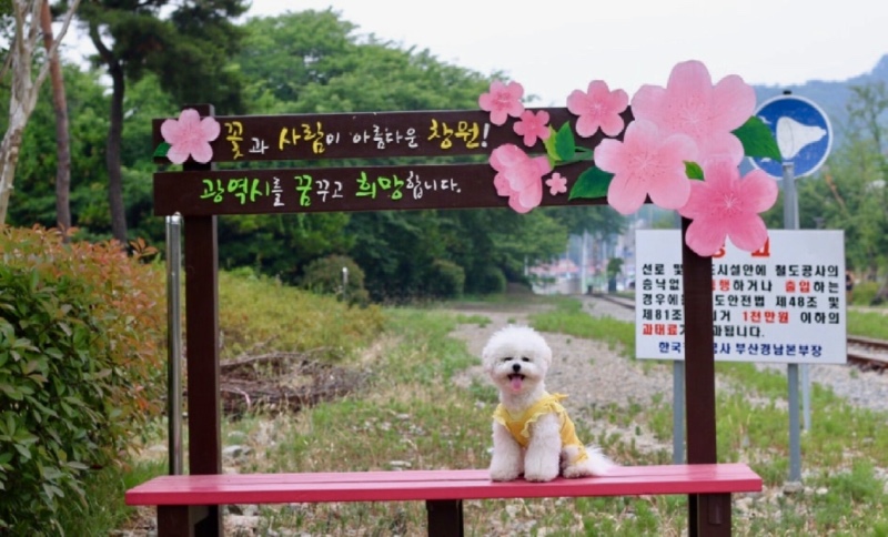 경화역 공원