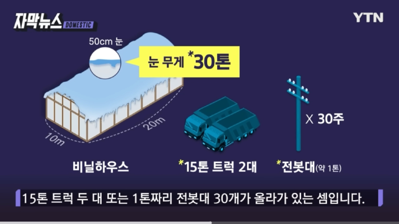 이번에 내린 눈 피해가 많은 이유 (습설의 무게)
