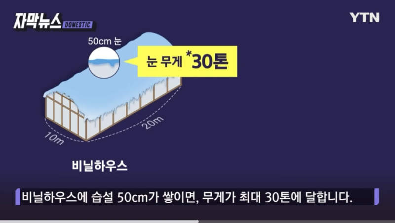 이번에 내린 눈 피해가 많은 이유 (습설의 무게)