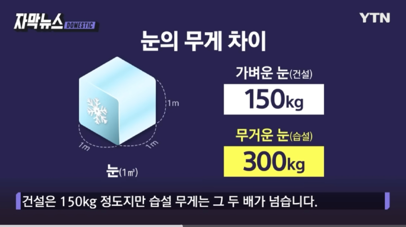 이번에 내린 눈 피해가 많은 이유 (습설의 무게)
