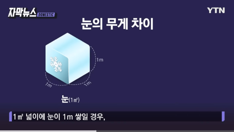 이번에 내린 눈 피해가 많은 이유 (습설의 무게)