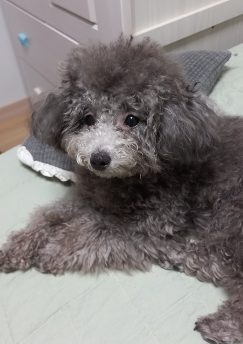 설이