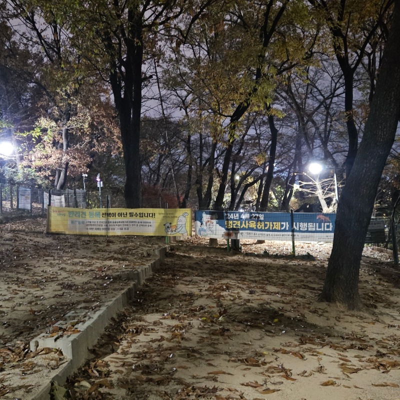 반려견놀이터 어린이대공원 