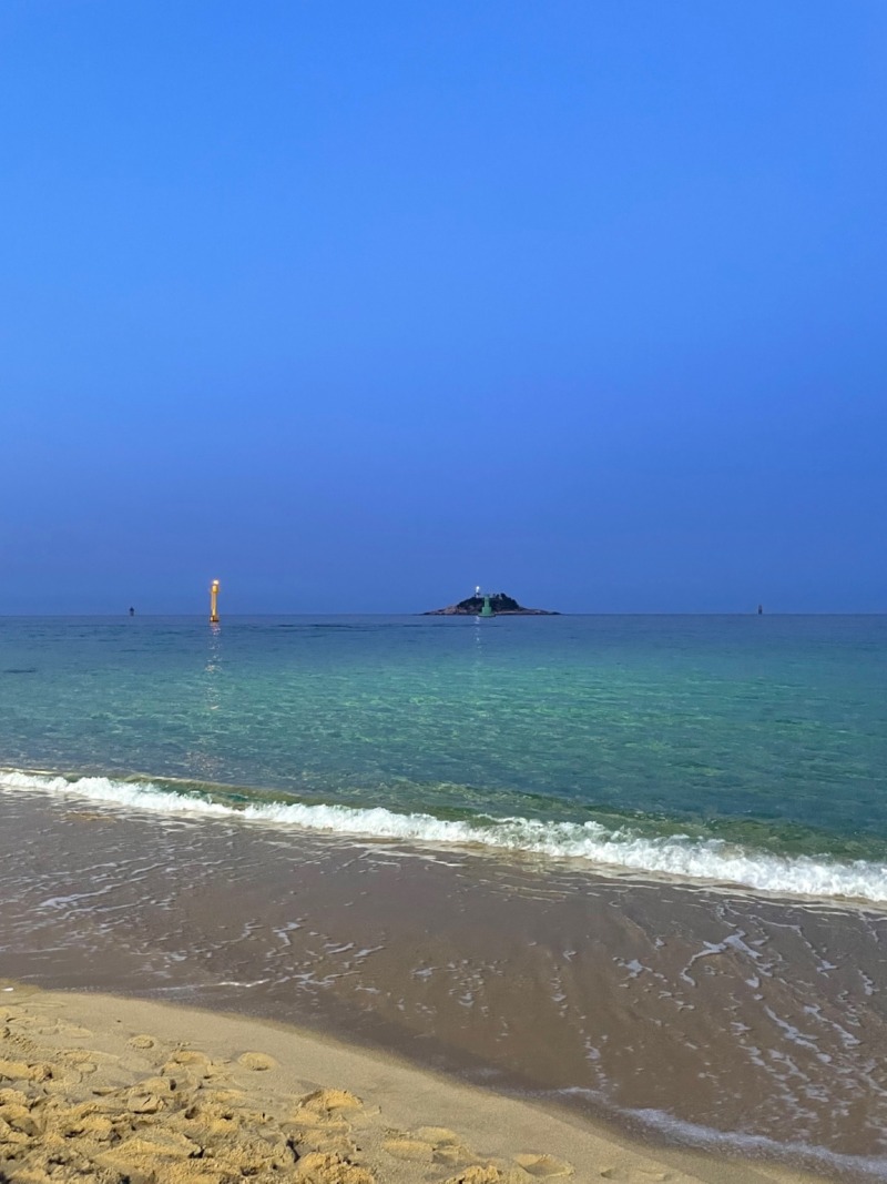  경포해변 애견동반 산책