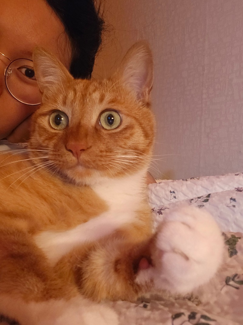 새벽갬성