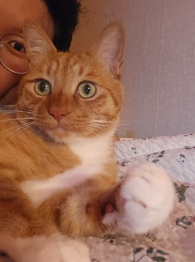 새벽갬성