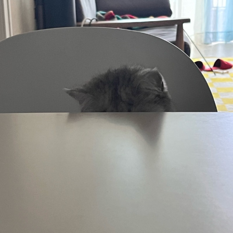 ㅁ까꿍