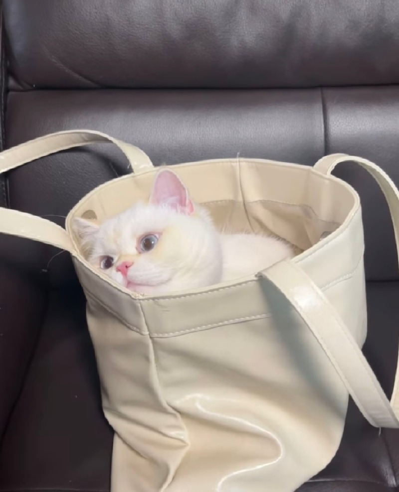 달이