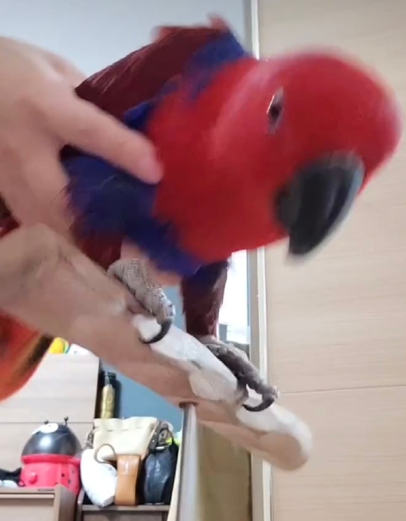 별이