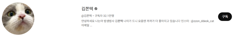 고양이 인플루언서, 일명 냥플루언서 모음!