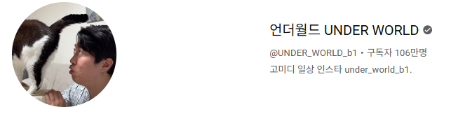 고양이 인플루언서, 일명 냥플루언서 모음!