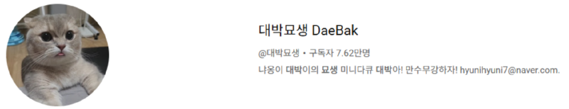 고양이 인플루언서, 일명 냥플루언서 모음!