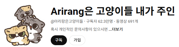 고양이 인플루언서, 일명 냥플루언서 모음!