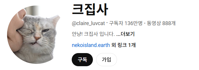 고양이 인플루언서, 일명 냥플루언서 모음!