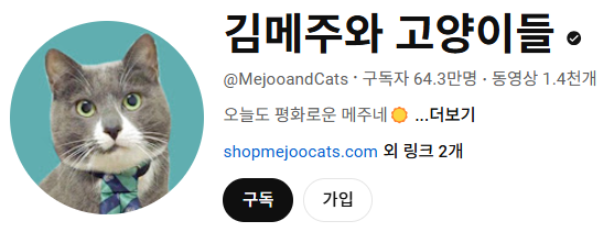 고양이 인플루언서, 일명 냥플루언서 모음!