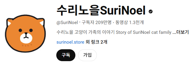 고양이 인플루언서, 일명 냥플루언서 모음!