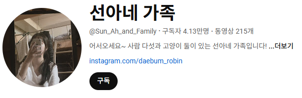고양이 인플루언서, 일명 냥플루언서 모음!