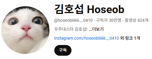 고양이 인플루언서, 일명 냥플루언서 모음!