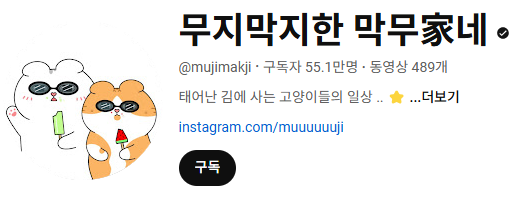 고양이 인플루언서, 일명 냥플루언서 모음!