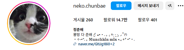 고양이 인플루언서, 일명 냥플루언서 모음!