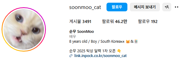 고양이 인플루언서, 일명 냥플루언서 모음!